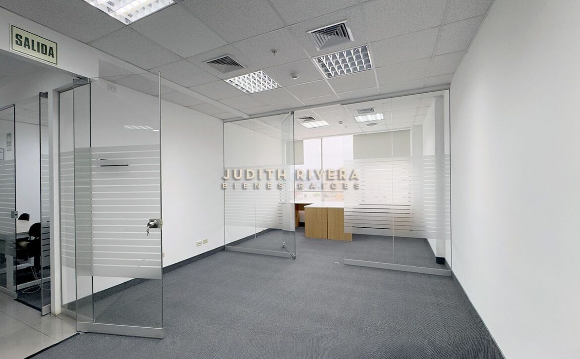 Oficina con iluminación natural y vista despejada, oficina en alquiler en San Isidro