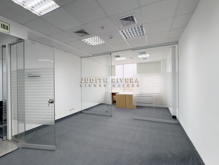Oficina con iluminación natural y vista despejada, oficina en alquiler en San Isidro