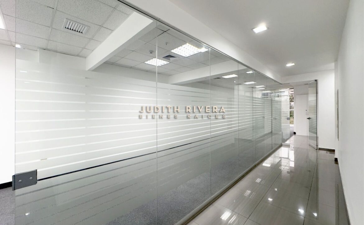 Oficina con vista a la avenida y edificios financieros, oficina en alquiler en San Isidro