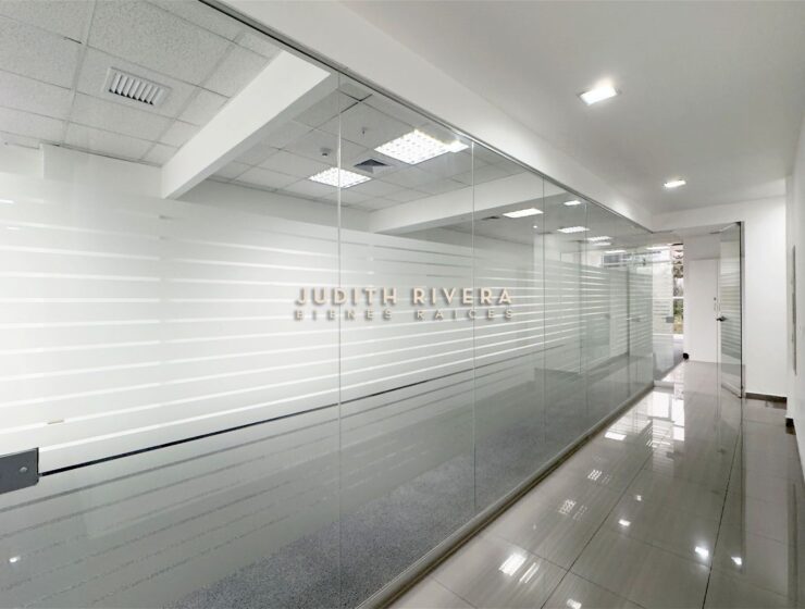 Oficina con vista a la avenida y edificios financieros, oficina en alquiler en San Isidro